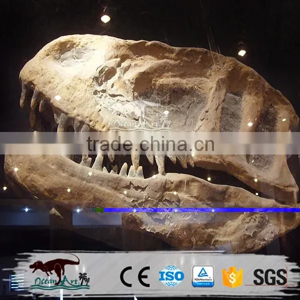 Museum Standard Dinosaur Bone for Sale photo-2