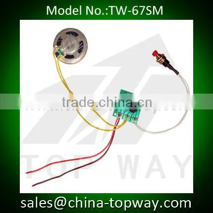 1000s Recordable Voice Module for Toys photo-2
