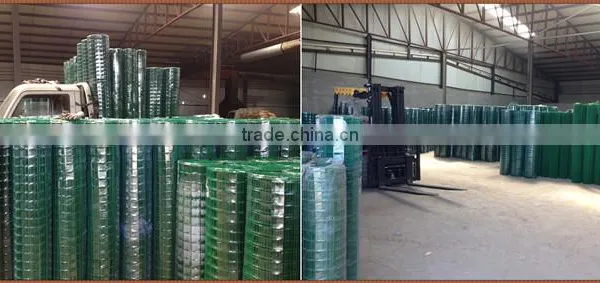 Anping Green Vinyl Coated Welded Wire Fence Price List photo-6