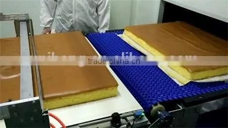 Thermal Radiant Type Wide Hearth Tunnel Oven for Nagasaki Cake photo-3
