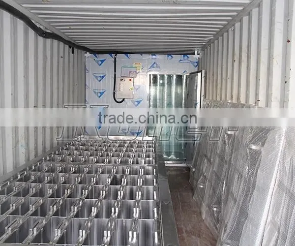 CE Approval Containerised Block Ice Making Plant photo-6