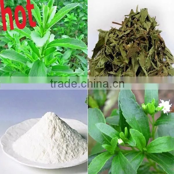 Stevia Suger: Stevia Extract Stevioside Rebaudioside A (RA) 95%