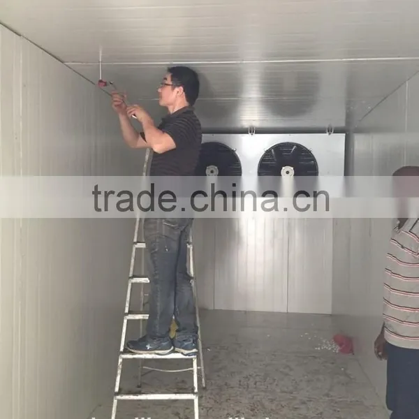 +8 to +2 C Cold Storage Room photo-4