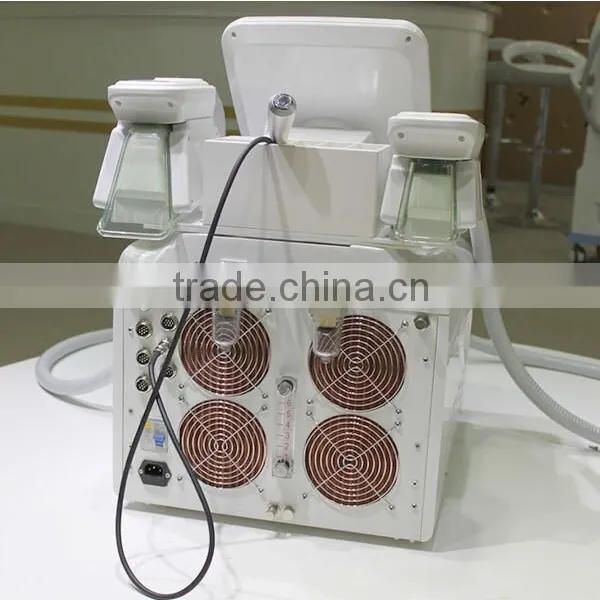 Fat Freezing Machine Home Device/best Slimming Machine/galvanic Cellulite Reduction Slimming Machine photo-6