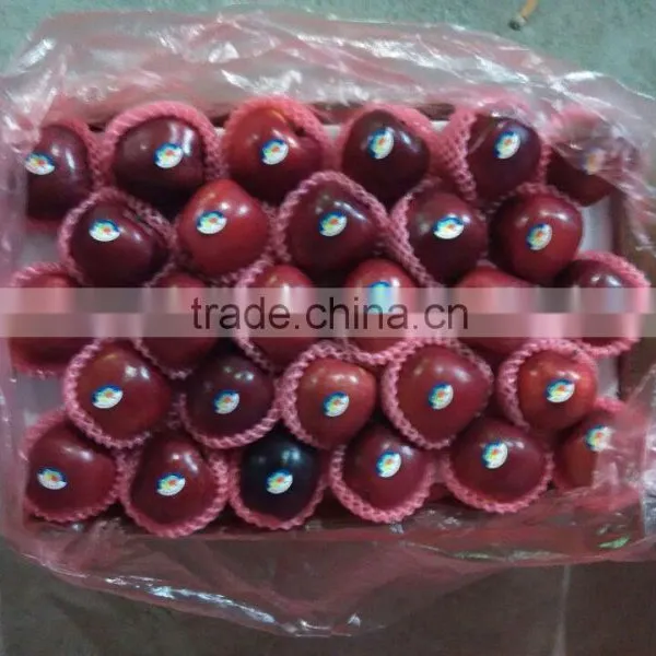 Red Delicious Apple,huaniu Apple