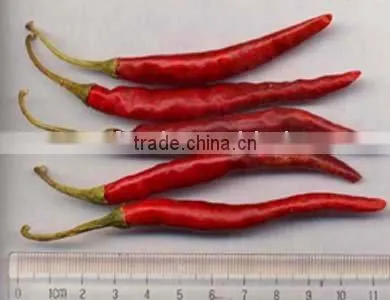 Dried Red Chillies Yunan Origin