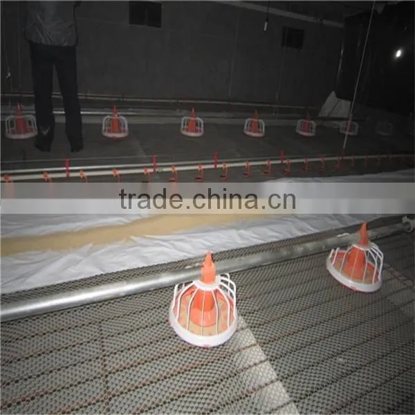 Broiler Poultry Feeding Equipment photo-2