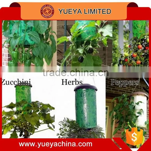 Tv Hot Sale Household Topsy-Turvy Plants Bonsai photo-3