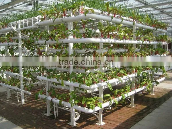 BaoLiDa High Quality PE Sheet Greenhouse Hot-dip Galvanized Steel Tube Tomato Greenhouse photo-2