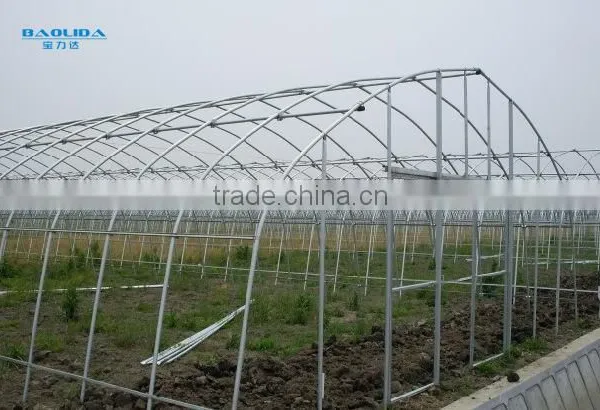 High Performance Pe Film Greenhouse For Strawberry photo-3