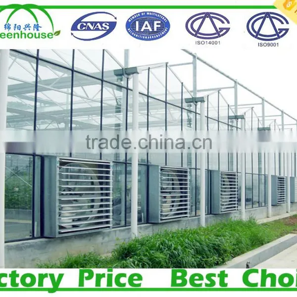 Glass Cover Material Greenhouse photo-3
