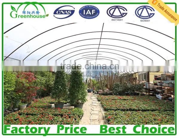 200 Micron UV Resistant Multi Span Plastic Film Agricultural Commercial Greenhouse photo-3