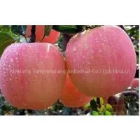 Fresh Apple