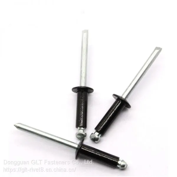 Painted Black Blind Rivets photo-2