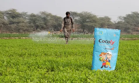 A Functional Fertilizer Cocoly That Can Regulate Soil pH photo-4