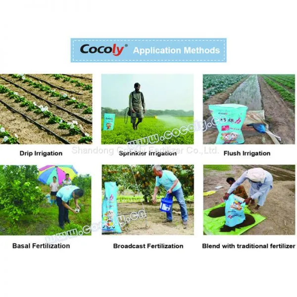 Cocoly Granular Water Soluble Fertilizer With Rich Nutriens and Complete Formula photo-4