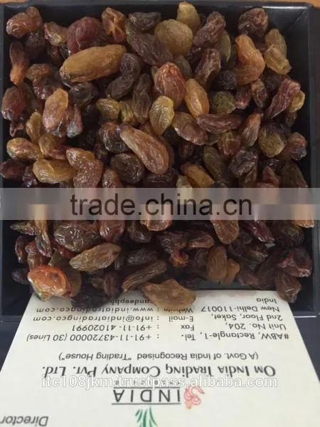 DRIED GRAPES photo-2
