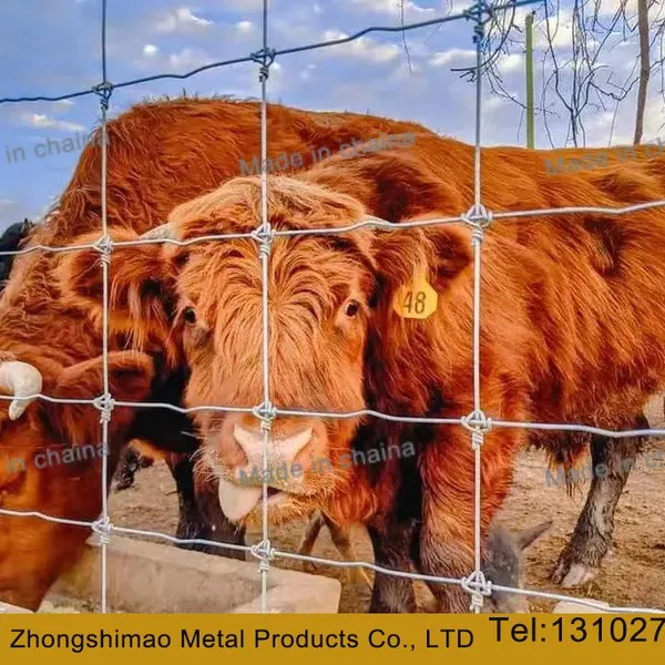 Grassland Fence/field Fence/ cattle Fence/annimal Fence/sheep Fence/ wire Mesh Fence photo-5