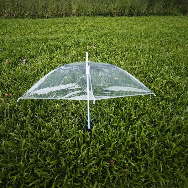 Light up LED Umbrellas