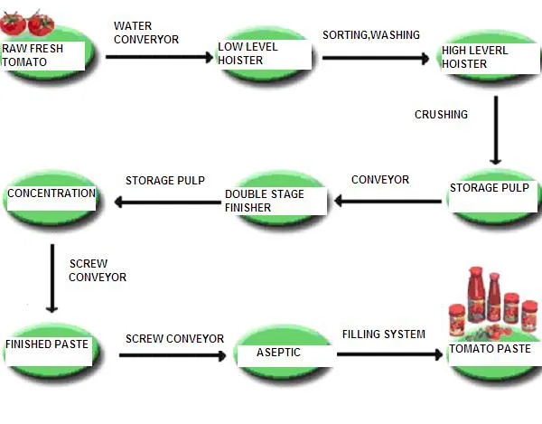 Full Complete Tomato Paste Production Machines for Fruit & Vegetable Processing photo-5