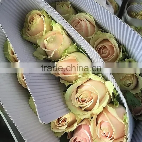 New Pink Avalache Flower Pink/red Artificial Roses photo-2