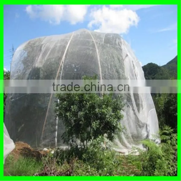 UV Resistant Netting for Fruit Files Anti Insect Net photo-2