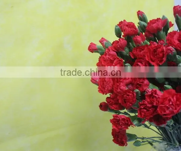 Various Crazy Selling Products for 2015 Carnation Flower photo-2