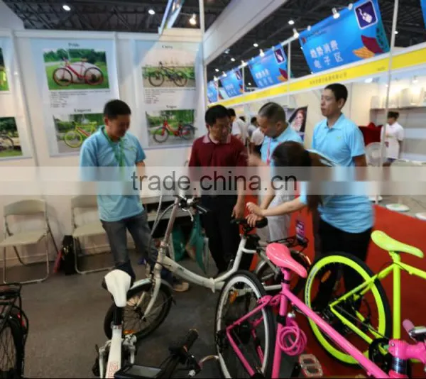 Battery Ebike/electric Bicycle Sport With CE and EN15194 photo-2