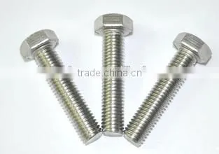 Professional Manufacture With High Quality Hex Bolt Made in Hebei photo-3
