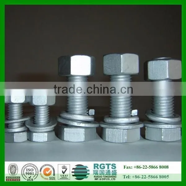 Metal Fasteners/ Bolts and Nuts Head Low Price photo-2