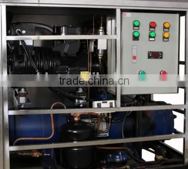 FSB-5 Block Ice Making Machine Factory Ice Block Machine 005 photo-4