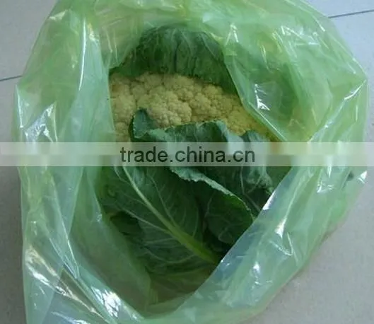 High Quality Factory Direct Fruit Plastic Packing Bag photo-2