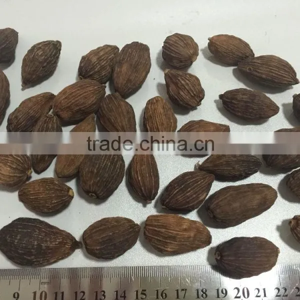 Black Cardamon Pack in 50kg/chinese Cardamon/black Cardamon