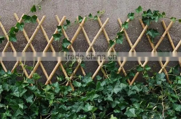 Bamboo Fence/ Garden Fences/wholesale Bamboo Fences
