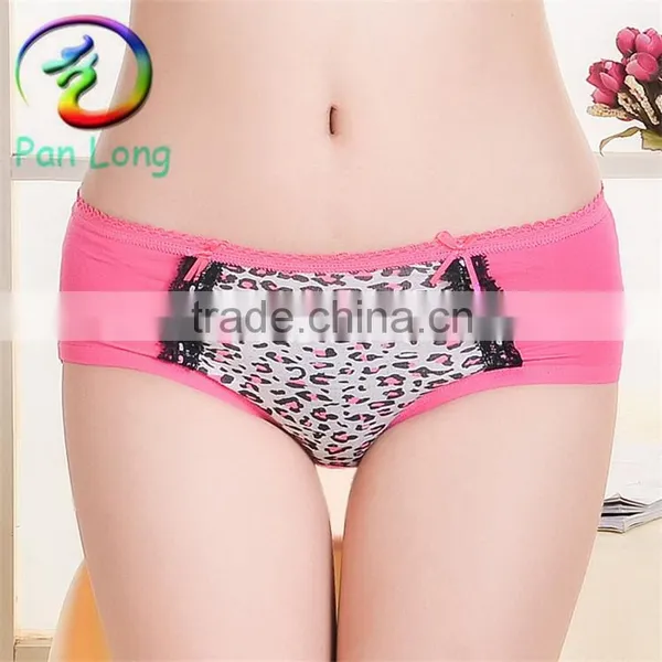 Women Sexy Briefs Panties Undergarments for Women Panties