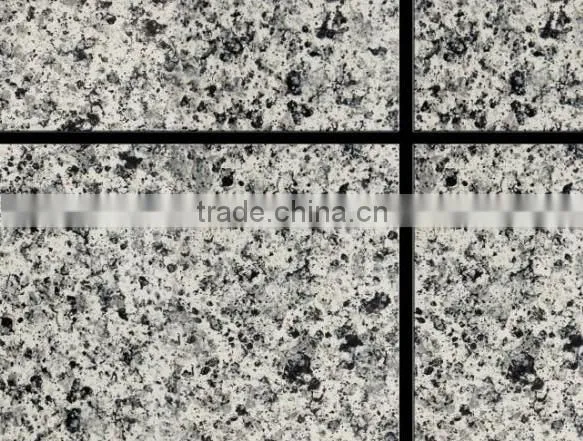 Waterbone High Quality Exterior Coloring Acylic Paint photo-2
