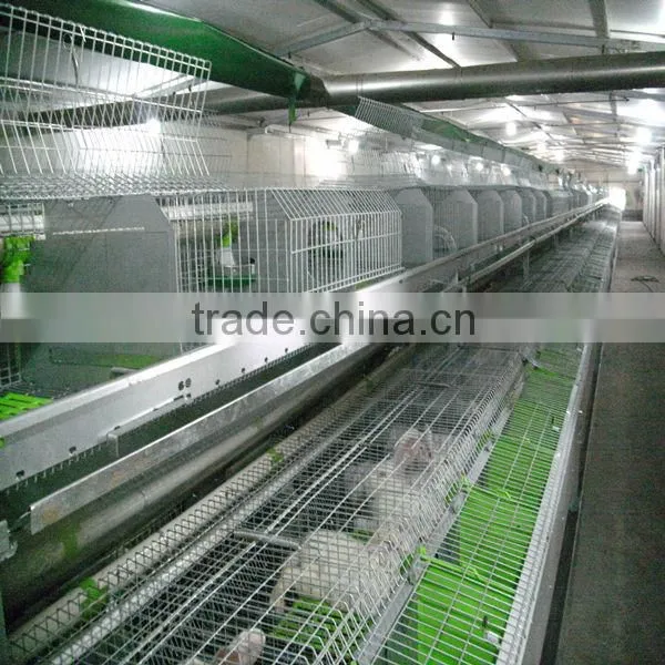 Automatic Rabbit Equipment photo-2
