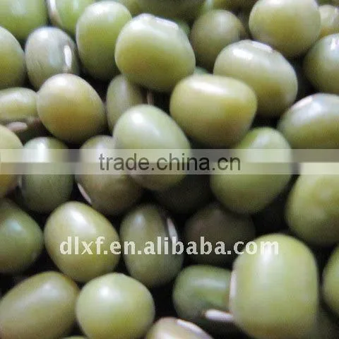 Green Mung Beans 2010 Crop