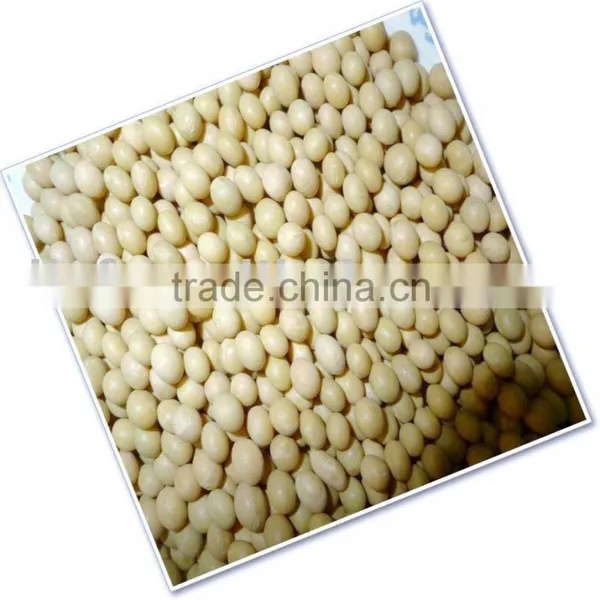 China Non-Gmo Soya Bean 2010