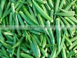 LADY FINGER