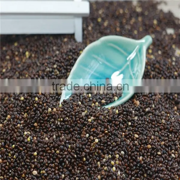 New Crop 2016 Black Broomcorn Millet Black Millet photo-4