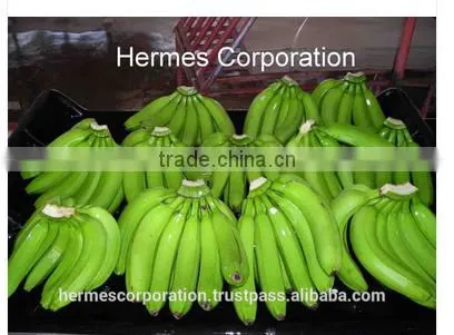 Fresh Green Bananas for Sale photo-3