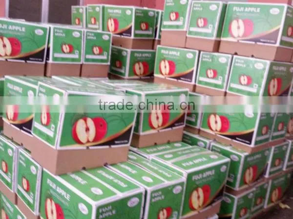 Hot Sale Chinese Fuji Apple photo-6