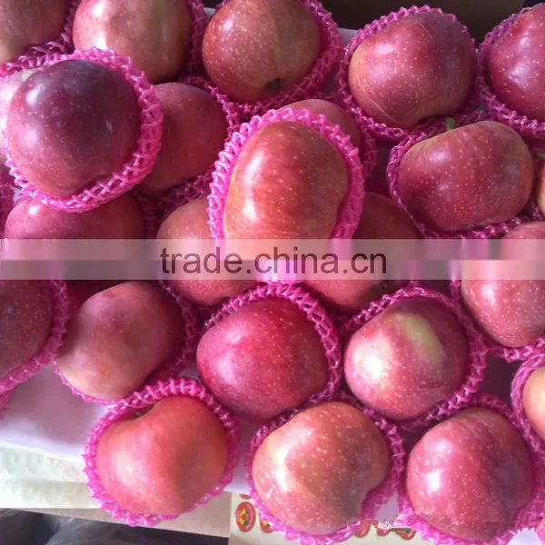 Hot Sale Chinese Apple Fruit Fresh Qinguan Apple photo-3