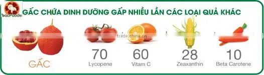 Gac Fruit Oil Capsules-Improve Eyesight, Anti Cancer, Anti Aging photo-5