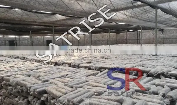 Hot Sale From China Professional Manufacturer Shiitake Mushroom Log photo-6