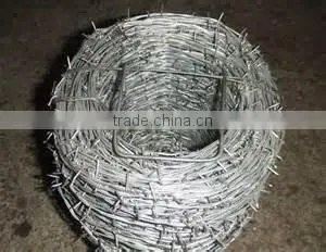l Galvanzied Barbed Wire BWG 12#x14# 14#x16# 1.6 mm 2.1mm 2.5mm Electric / Hot Dipped Barb Wire Direct Professional Manufacture photo-3