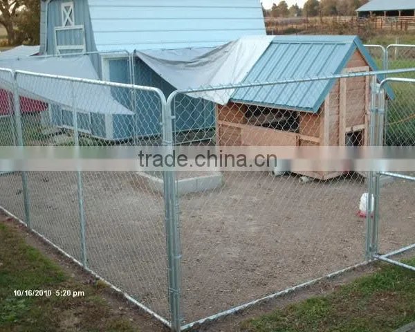 Galvanized Wire Dog Kennels /Tube Dog Crate/Pet Cages/Kennels photo-2