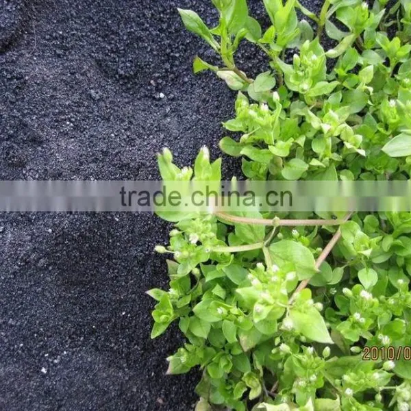 18% Fused Calcium Magnesium Phosphate Fertilizer FMP photo-2