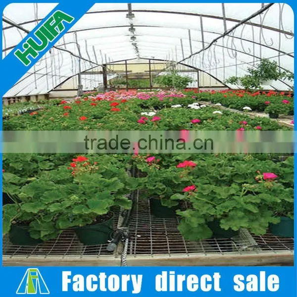 New Design Hot Sale Steel Frame High Tunnel Greenhouse photo-4